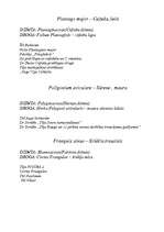 Konspekts 'Baktērijas', 14.