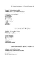 Konspekts 'Baktērijas', 15.