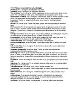 Referāts 'Fašisms', 11.