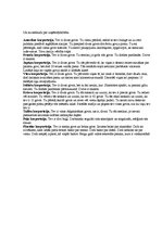 Referāts 'Fašisms', 12.