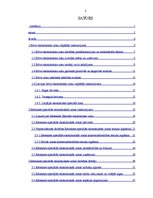 Referāts 'Rēzeknes speciālā ekonomiskā zona', 2.