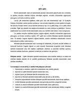 Referāts 'Rēzeknes speciālā ekonomiskā zona', 4.