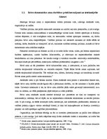 Referāts 'Rēzeknes speciālā ekonomiskā zona', 7.