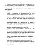 Referāts 'Rēzeknes speciālā ekonomiskā zona', 12.