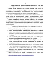 Referāts 'Rēzeknes speciālā ekonomiskā zona', 24.