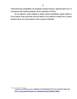 Referāts 'Rēzeknes speciālā ekonomiskā zona', 28.