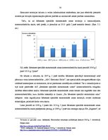 Referāts 'Rēzeknes speciālā ekonomiskā zona', 30.