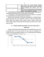Referāts 'Rēzeknes speciālā ekonomiskā zona', 33.