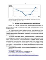 Referāts 'Rēzeknes speciālā ekonomiskā zona', 37.
