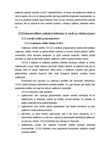 Diplomdarbs 'Konkurence informācijas tehnoloģiju risinājumu - grāmatvedības uzskaites sistēmu', 39.