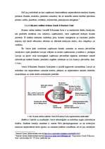 Diplomdarbs 'Konkurence informācijas tehnoloģiju risinājumu - grāmatvedības uzskaites sistēmu', 51.