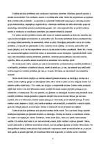 Eseja 'Sociālā darba problēmas un to raksturojums', 4.