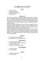 Referāts 'Kārlis Skalbe - biogrāfija un daiļrade', 12.