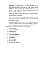 Prakses atskaite 'Viesnīcu prakses atskaite "Hotel Jelgava"', 19.