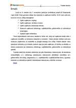 Prakses atskaite 'A/S "Hansabanka" Ogres filiāle', 3.