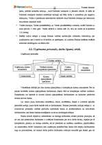 Prakses atskaite 'A/S "Hansabanka" Ogres filiāle', 12.