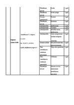 Konspekts 'Zemgales vispārējais raksturojums', 9.