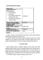 Referāts 'Padomju sabiedrības stratifikācijas struktūra', 10.