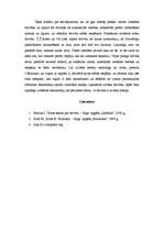 Eseja 'Brīvības interpretācijas filosofija', 5.