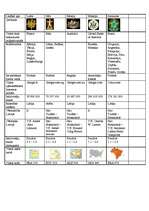 Konspekts 'Dažādu kontinentu valstu salīdzinājums', 2.