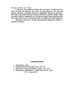 Referāts 'Ideāli latviešu literatūrā', 3.