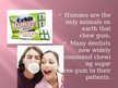 Prezentācija 'Chewing Gum', 9.