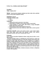 Prakses atskaite 'Integrētās nodarbības konspekts', 2.