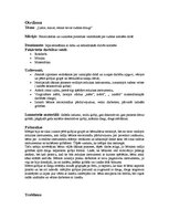 Prakses atskaite 'Integrētās nodarbības konspekts', 3.