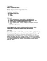 Prakses atskaite 'Integrētās nodarbības konspekts', 5.