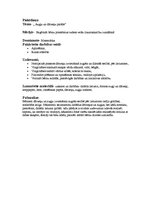 Prakses atskaite 'Integrētās nodarbības konspekts', 6.