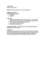 Prakses atskaite 'Integrētās nodarbības konspekts', 9.