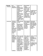 Prakses atskaite 'Integrētās nodarbības konspekts', 12.