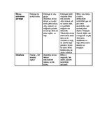 Prakses atskaite 'Integrētās nodarbības konspekts', 13.