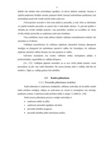 Diplomdarbs 'Personāla vadības uzlabošana SIA "Niks" "Casino Tobago"', 15.