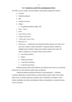 Diplomdarbs 'Personāla vadības uzlabošana SIA "Niks" "Casino Tobago"', 39.