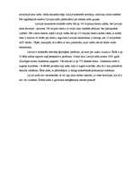 Konspekts 'Nafta', 3.