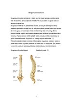Konspekts 'Skolioze un tās ārstēšanas iespējas', 4.