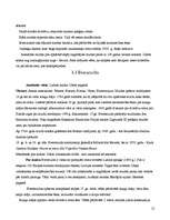 Referāts 'Pilis un muižas Latgalē', 12.