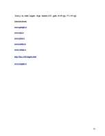 Referāts 'Pilis un muižas Latgalē', 31.