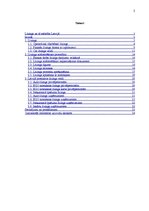 Referāts 'Līzings, tā veidi', 2.