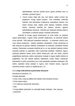 Referāts 'Līzings, tā veidi', 15.