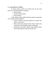 Referāts 'Līzings, tā veidi', 19.