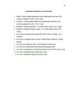 Referāts 'Līzings, tā veidi', 24.