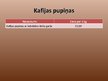 Prezentācija 'Kafija', 11.