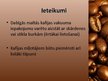 Prezentācija 'Kafija', 15.