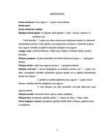 Diplomdarbs 'Burtu apguve 5 - 6 gadus veciem bērniem', 2.