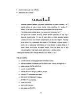 Diplomdarbs 'Burtu apguve 5 - 6 gadus veciem bērniem', 20.