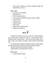 Diplomdarbs 'Burtu apguve 5 - 6 gadus veciem bērniem', 35.