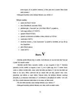 Diplomdarbs 'Burtu apguve 5 - 6 gadus veciem bērniem', 41.