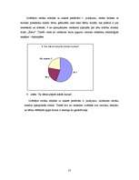 Diplomdarbs 'Burtu apguve 5 - 6 gadus veciem bērniem', 53.